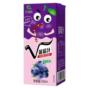 北大荒藍(lán)莓汁風(fēng)味飲料250ml