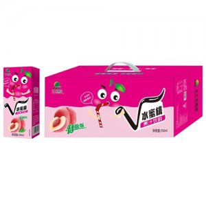 北大荒水蜜桃風(fēng)味飲料禮盒