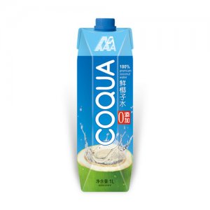 蒙椰椰子水1L