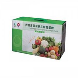 蒙清農(nóng)莊特蔬基地