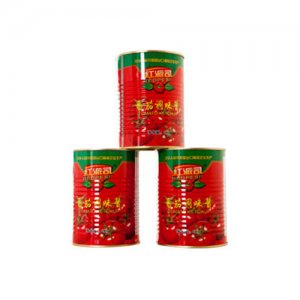 紅派司番茄醬1Kg