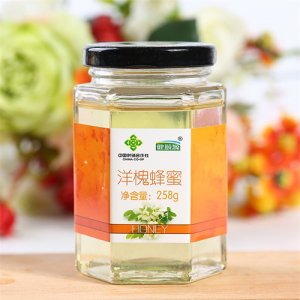 健頤源洋槐蜂蜜258g