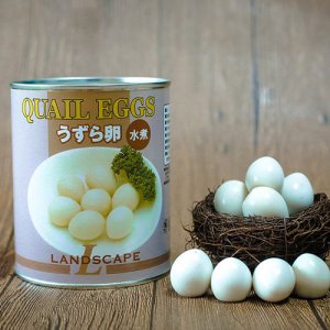 丹東鵪鶉蛋罐頭白盒