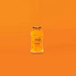 真心桔子罐頭248g