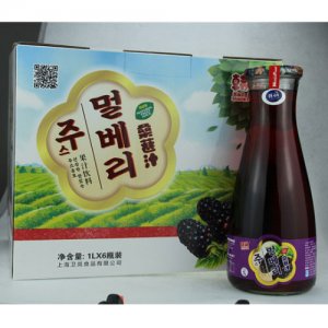 韓巢桑葚汁飲料玻璃瓶1L