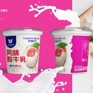 優(yōu)卓?jī)?yōu)享西柚風(fēng)味酸牛乳120g