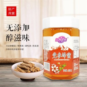 三月花開黨參蜂蜜500g
