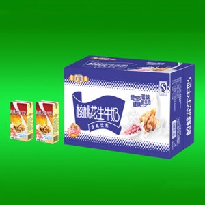 廣臻標(biāo)準(zhǔn)磚核桃花生奶250mlx20盒