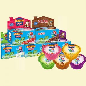 百吉福成長奶酪五合一組裝