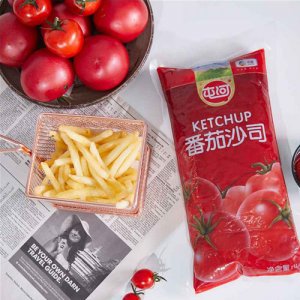 屯河番茄沙司1kg軟袋