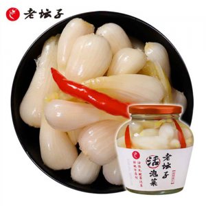 老壇子活性乳酸菌泡菜開味仔姜