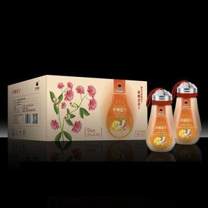 冬寶檸檬姜汁489ml