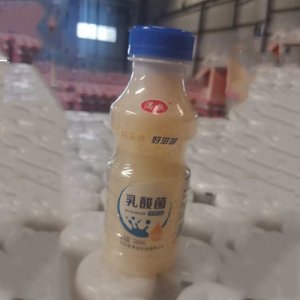 湡歌乳酸菌飲品340ml