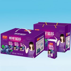 富順康鮮榨藍(lán)莓250mlx12盒