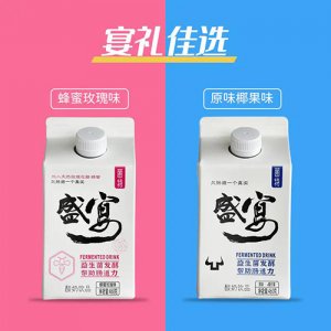 康伴菌特盛宴酸奶飲品460g