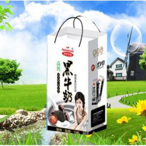 樂(lè)源高鈣黑牛奶20盒手提