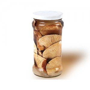 錦鵬鮑魚菇罐頭