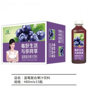 九州華洋藍(lán)莓復(fù)合果汁飲料簡(jiǎn)箱