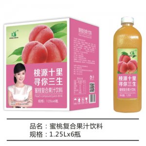九州華洋蜜桃復(fù)合果汁飲料簡(jiǎn)箱