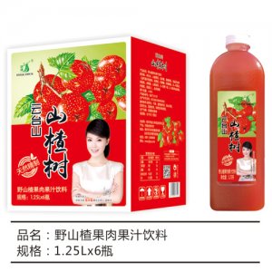 九州華洋山楂樹(shù)野山楂果肉果汁飲料簡(jiǎn)箱