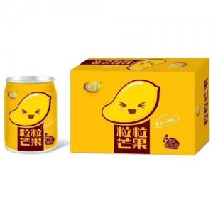 維維粒粒芒果果汁飲料禮盒