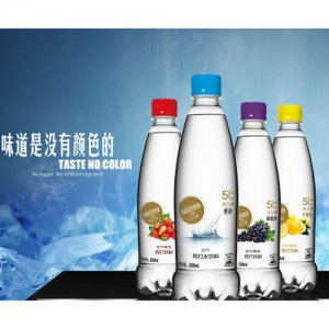 活力恩5℃含氣蘇打水飲料500ml
