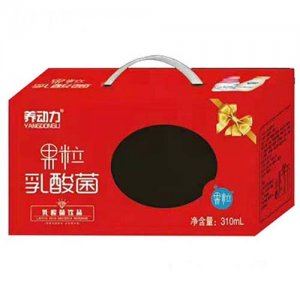 長澤乳業(yè)養(yǎng)動力果粒乳酸菌