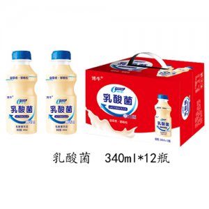 博牛乳酸菌 340ml 12瓶