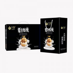 六萃愛(ài)上核桃復(fù)合蛋白飲品