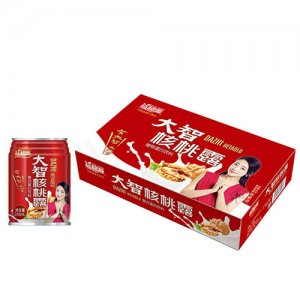 益和源紅大智核桃露20罐裝