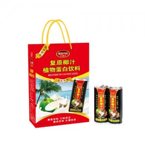 復(fù)原椰汁植物蛋白飲品