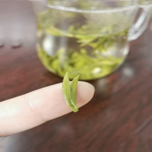 陸羽留香綠茶“尊”陶罐禮盒2