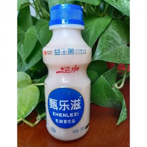 甄樂滋原味乳酸菌飲品340ml