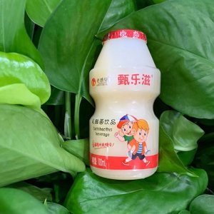 甄樂滋乳酸菌飲品100ml