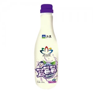 天惠1.25L藍莓莓果汁乳酸菌（藍莓）