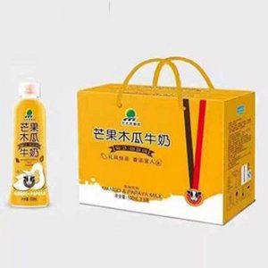 思杰芒果木瓜牛奶500mlx8瓶