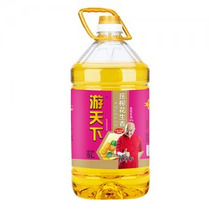 游天下壓榨花生香食用植物調(diào)和油