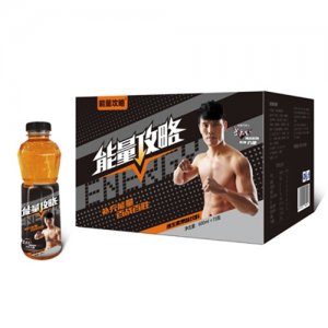 能量攻略維生素果味飲料600mlx15瓶