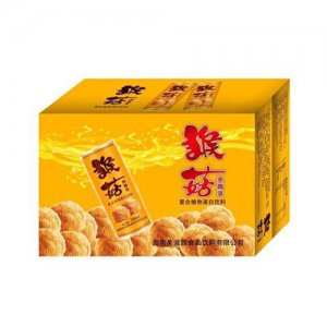 海之蘭猴菇養(yǎng)胃乳240ml箱裝