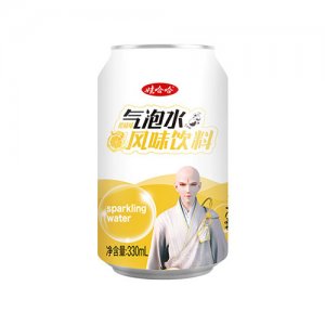娃哈哈氣泡水風(fēng)味飲料柑橘味罐330mlX24罐