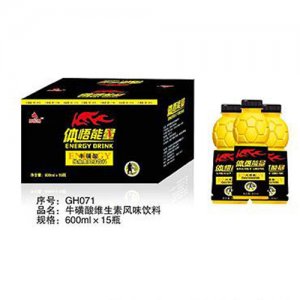 甄典體悟能量600mlX15瓶