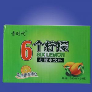 春尚好6個(gè)檸檬檸檬水飲料箱裝