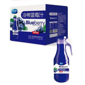 誠聯(lián)天下手柄冷榨藍(lán)莓汁