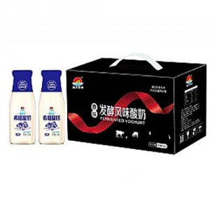 旭日食品發(fā)酵風(fēng)味希臘酸奶原味箱裝