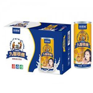 常想知石磨原漿九智核桃植物蛋白飲品