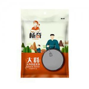楊奇大料調(diào)味料25g