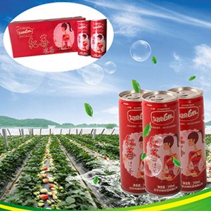 閃亮e族 紅梅涼茶