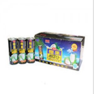 天發(fā)椰果椰子汁