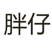 山東臨沂胖仔檳榔食品有限公司
