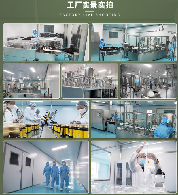 菑鼎集團(tuán)——專注于中藥液態(tài)益生菌OEM代加工 2.png